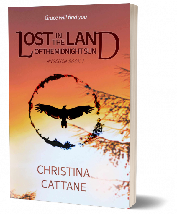 Lost in the land of the midnight sun paperback